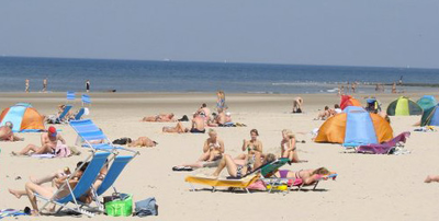 Entscheiden Sie sich für Urlaub mit Hund in Holland&nbsp;